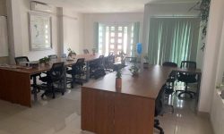biệt thự vũ ngọc phan bình thạnh