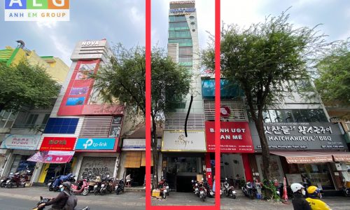 Tòa nhà văn phòng 12 Tôn Thất Tùng Quận 1