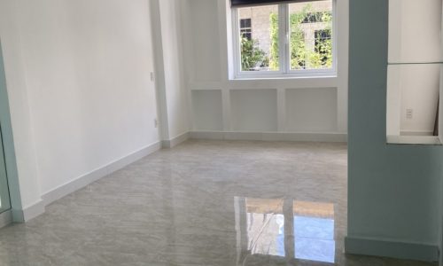 Nhà mặt tiền Thạch Thị Thanh Quận 1