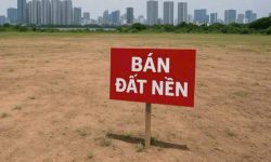 Rủi ro pháp lý phổ biến khi mua đất nền