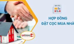 KÝ HỢP ĐỒNG CỌC AN TOÀN KHI MUA BÁN NHÀ